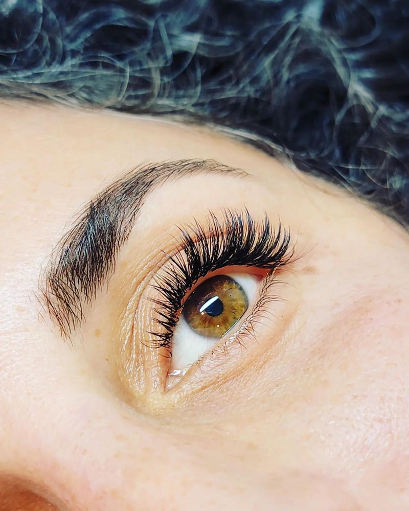 6D mega volume lash extensions
